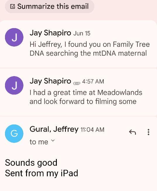 Jeffrey Gural / Jay Shapiro